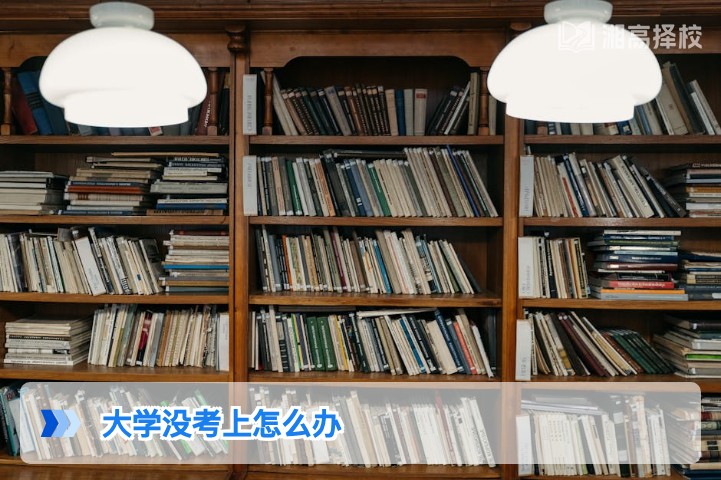 2026年湖南考生大学没考上的3种可行解决方案及落地指南