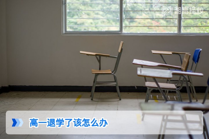 2026年湖南高一退学后重返学业的完整解决方案
