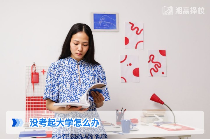 2026年湖南考生没考起大学的5条务实出路规划