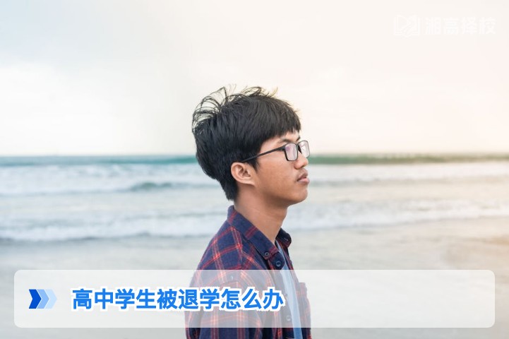 2026年湖南高中学生被退学后的升学与复读解决方案