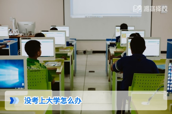 2026年湖南考生没考上大学的5种靠谱解决方案