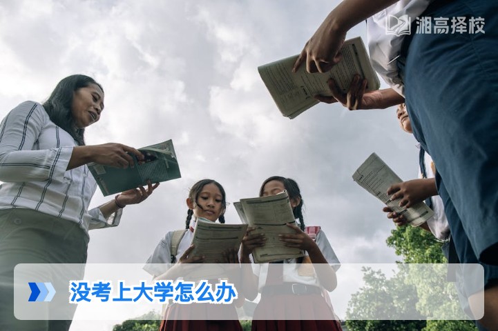 2026年湖南考生没考上大学的5种可行解决方案及落地指南