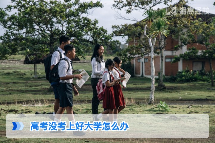 2026年湖南高考没考上好大学的科学应对方案与复读规划指南