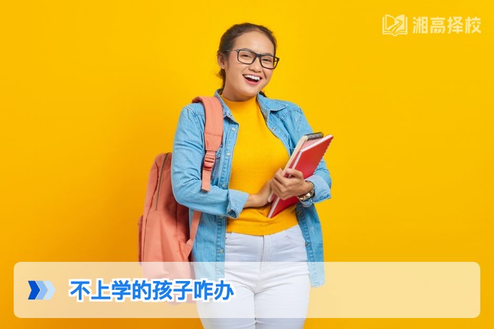 2026年湖南厌学辍学孩子的科学引导与复学规划指南