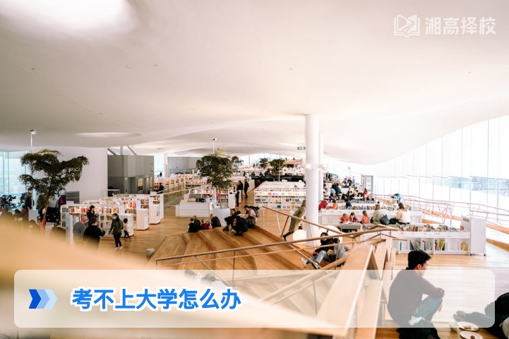 2026年湖南考生考不上大学的5种务实解决方案