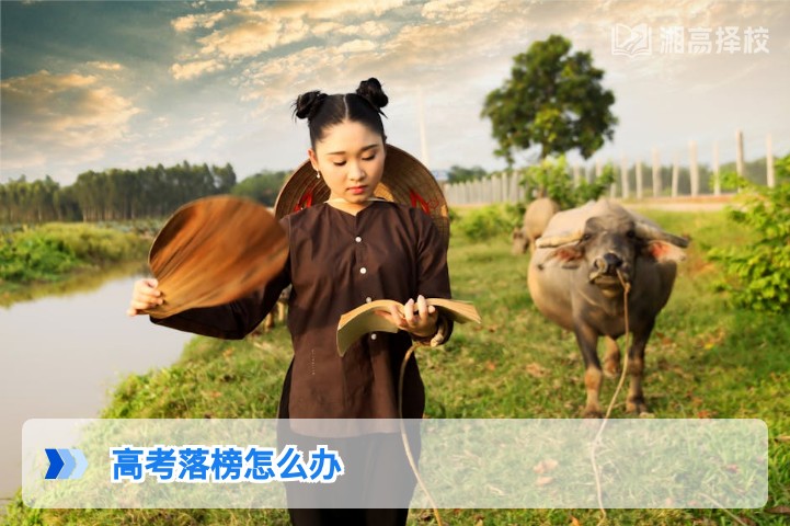 2026年湖南高考落榜后科学应对指南,附复读/升学全路径规划