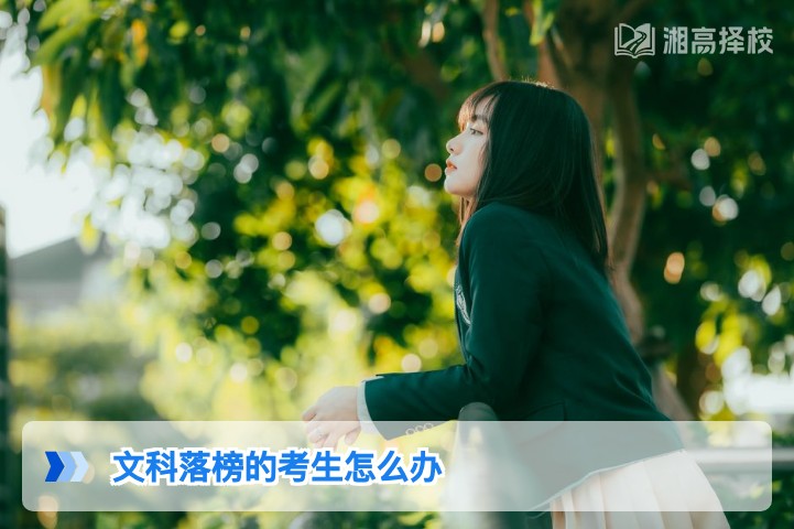 2026年湖南文科落榜考生复读规划与出路指南