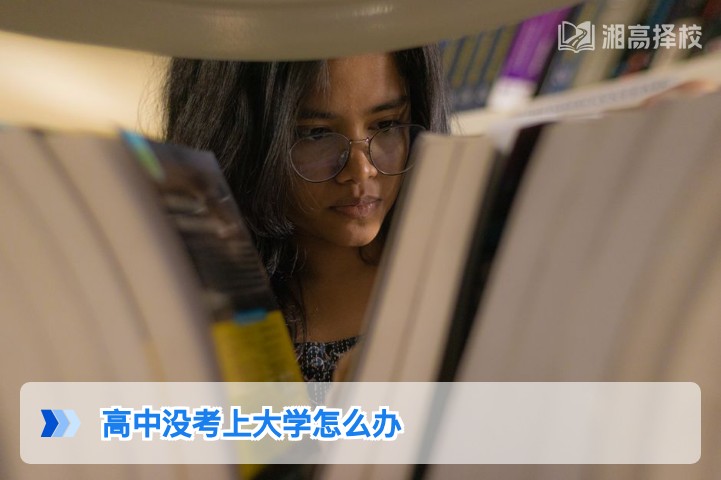 2026年湖南高中没考上大学的4条可行出路,附复读规划全指南