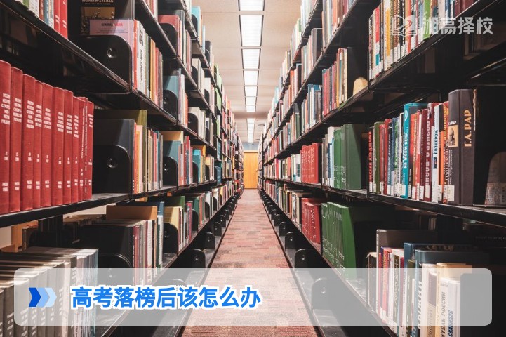 2026年湖南高考落榜后科学规划指南：3条核心路径助孩子重启升学之路