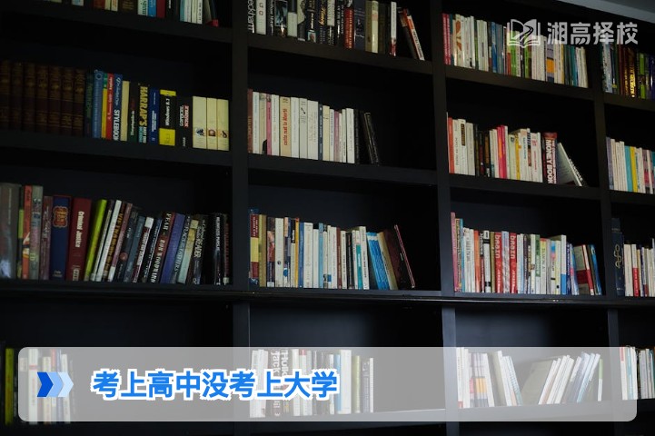 2026年湖南考生考上高中没考上大学的科学应对方案