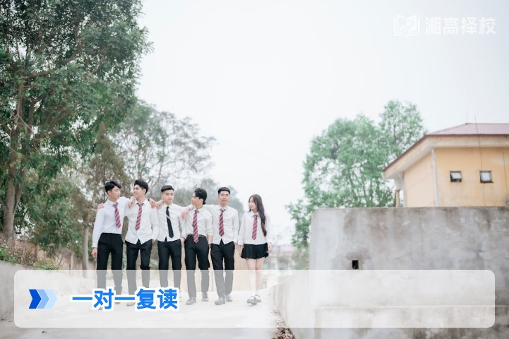 2026年湖南一对一复读全指南：适配新高考的个性化提分方案