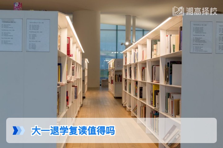 2026年湖南大一退学复读决策指南：从政策、成本到提分潜力的客观分析