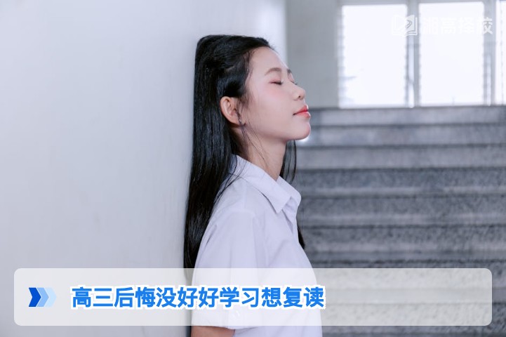 2026年湖南高三生后悔没好好学习想复读的全流程规划指南
