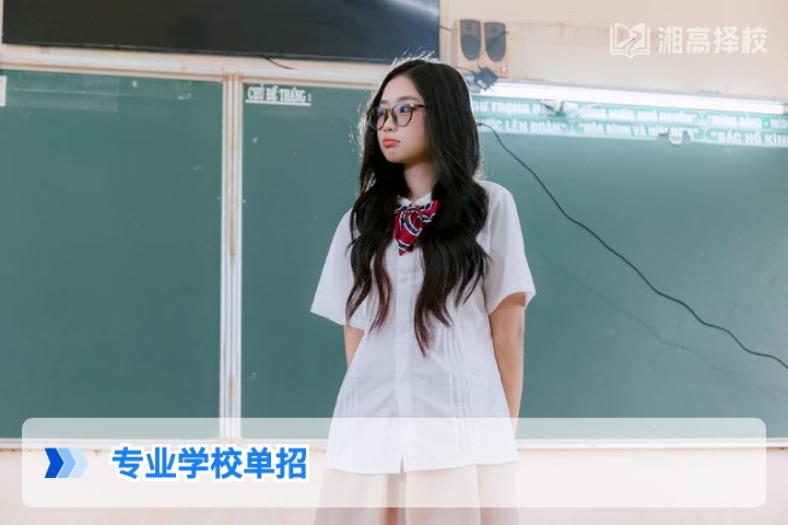2026年湖南省单招专业学校报考全指南
