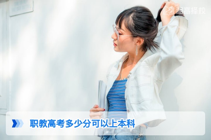 2026年湖南职教高考本科录取分数线及报考指南
