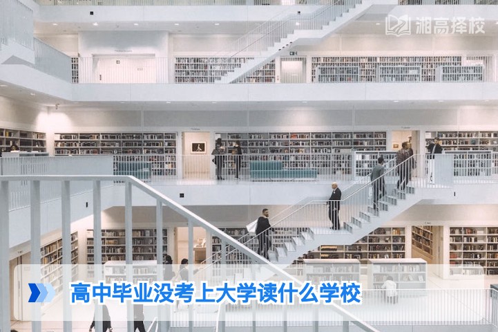 2026年湖南高中未考上大学的升学路径指南：适合的学校与规划方案