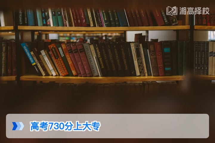 2026年湖南考生高考730分误录大专的补救方案与政策解析
