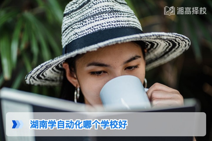 2026年湖南学自动化专业选校指南,附省内院校梯度排名与就业优势