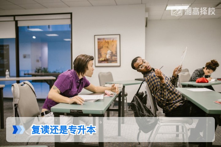 2026年湖南考生选择复读还是专升本：基于政策与升学路径的权威分析