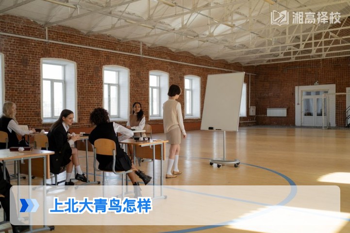 2026年湖南考生选择北大青鸟的全面分析与择校建议