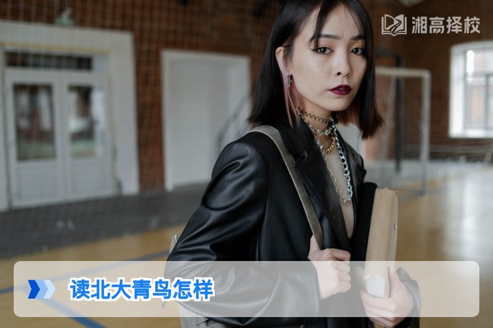 2026年湖南考生读北大青鸟的真实价值与择校参考