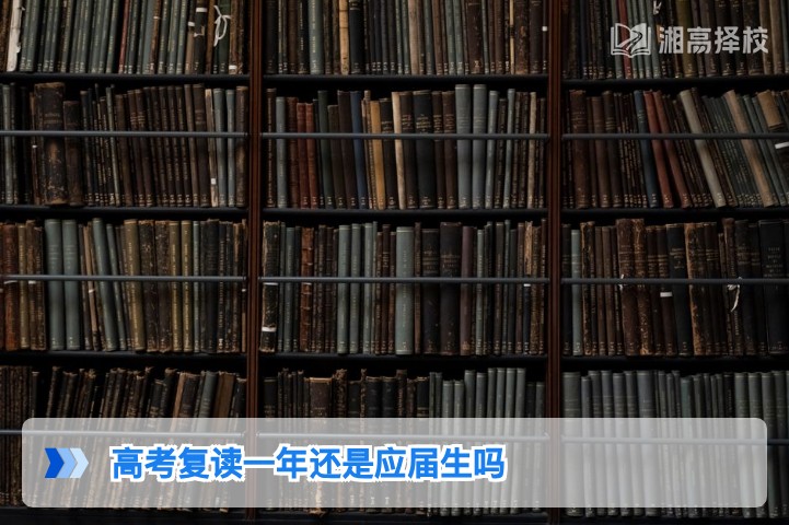 2026年湖南高考复读生身份界定：复读一年仍不属于应届生