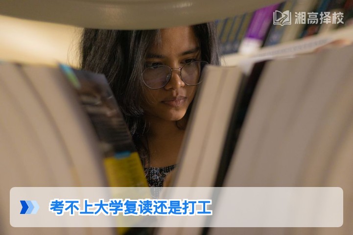 2026年湖南考生考不上大学：复读还是打工的科学决策指南
