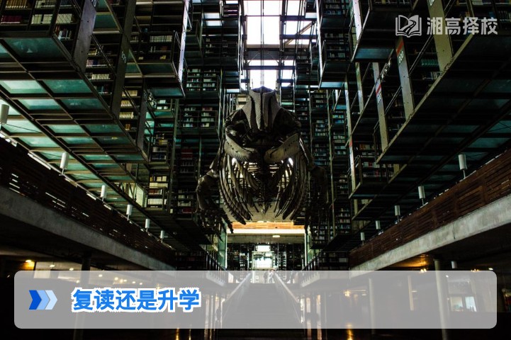 2026年湖南高考复读还是升学?基于政策与学情的科学决策指南