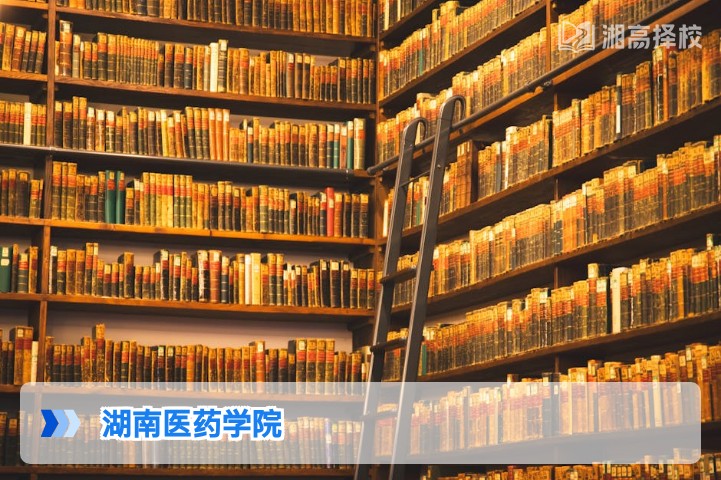 2026年湖南医药学院复读报考指南 含录取分数要求与备考规划