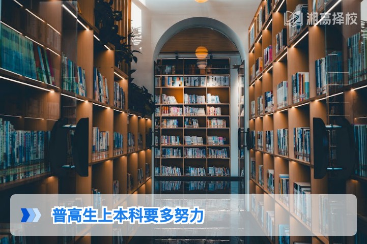 2026年湖南普高生上本科的努力标准与落地规划