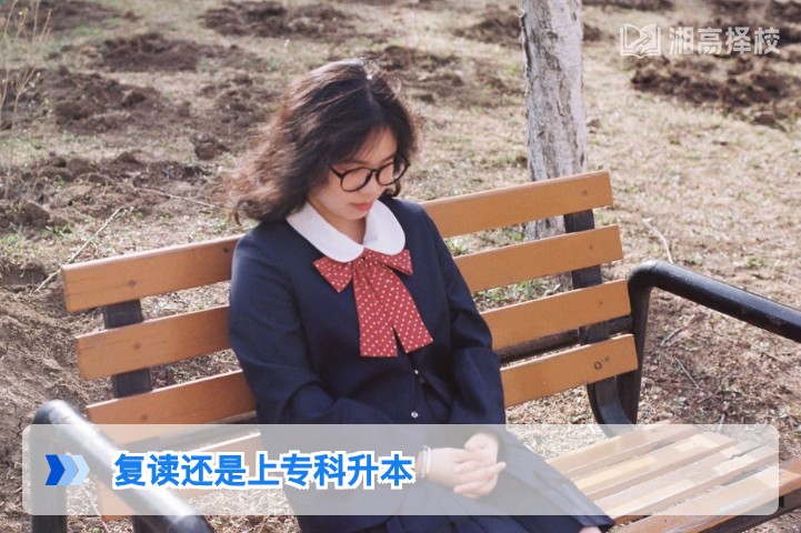 2026年湖南高考复读还是上专科升本：结合新高考政策的理性决策指南