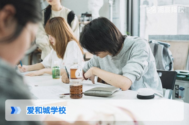 2026年湖南长沙爱和城高复学校全解析：政策适配性、提分数据与择校指南