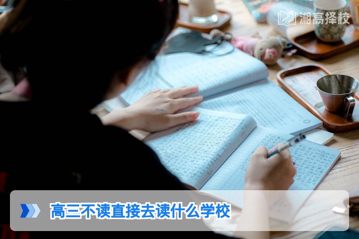 2026年湖南高三不读可就读的正规学校及路径指南