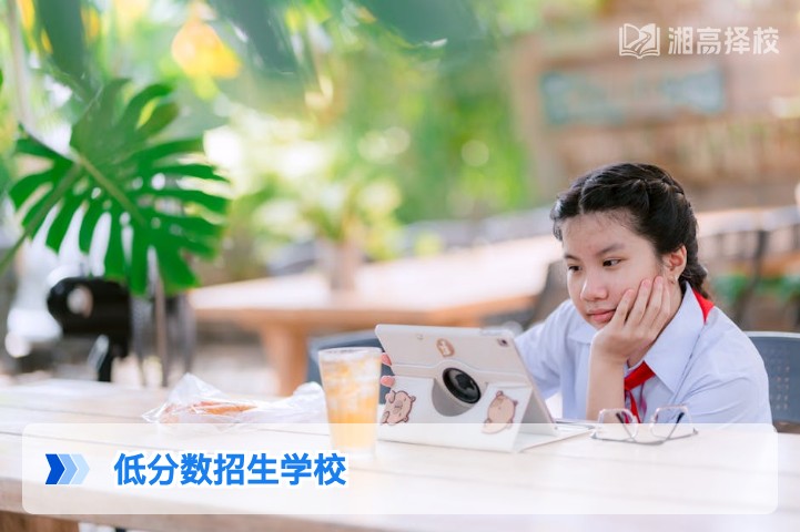 2026年湖南低分数复读生可报考的正规招生学校全指南