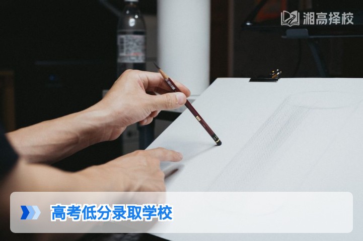 2026年湖南高考低分考生可录取学校及复读择校全指南
