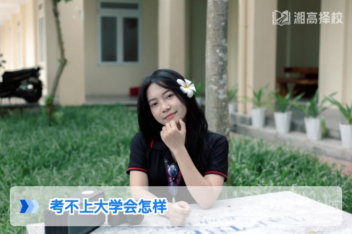 2026年湖南考生考不上大学的真实影响与应对方案