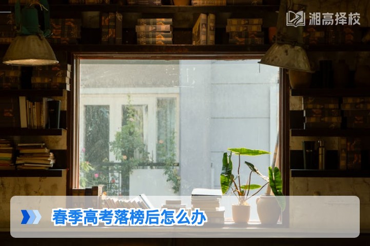 2026年湖南春季高考落榜后科学规划指南