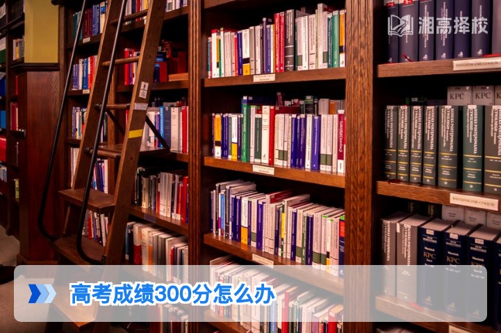 2026年湖南高考300分复读规划与升学指南