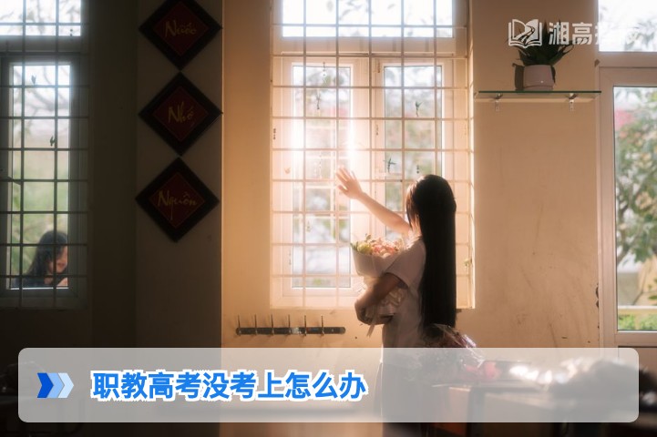 2026年湖南职教高考没考上怎么办 权威规划与落地方案