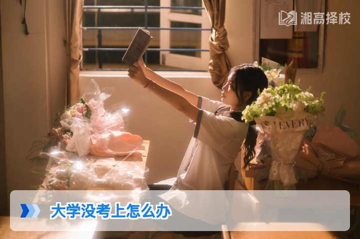 2026年湖南考生大学没考上怎么办 权威规划与落地解决方案