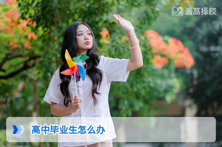 2026年湖南高中毕业生升学与复读全路径规划指南