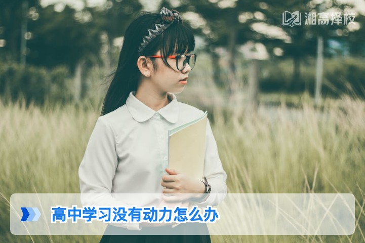 2026年湖南高中复读生提升学习动力的科学方法与落地指南