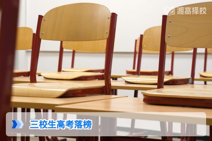 2026年湖南三校生高考落榜后科学规划指南