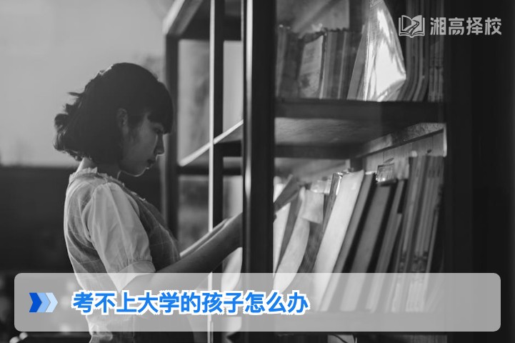 2026年湖南考不上大学的学生出路规划指南