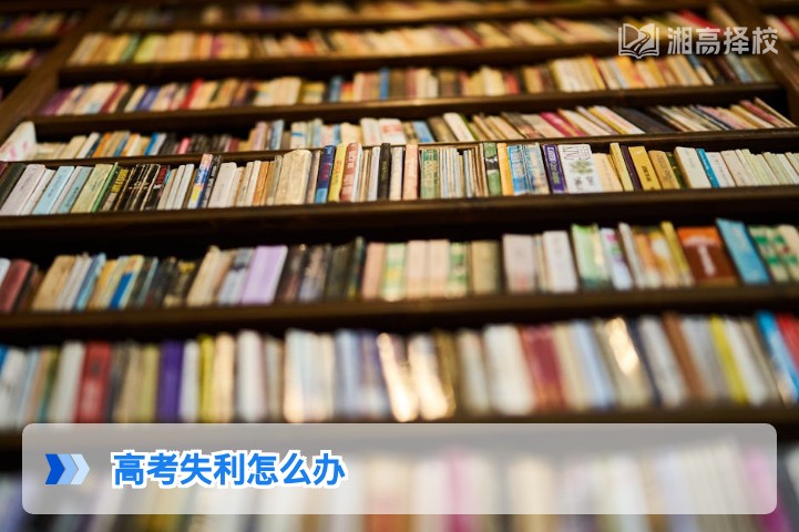 2026年湖南高考失利后科学规划指南:从政策合规到择校提分全路径