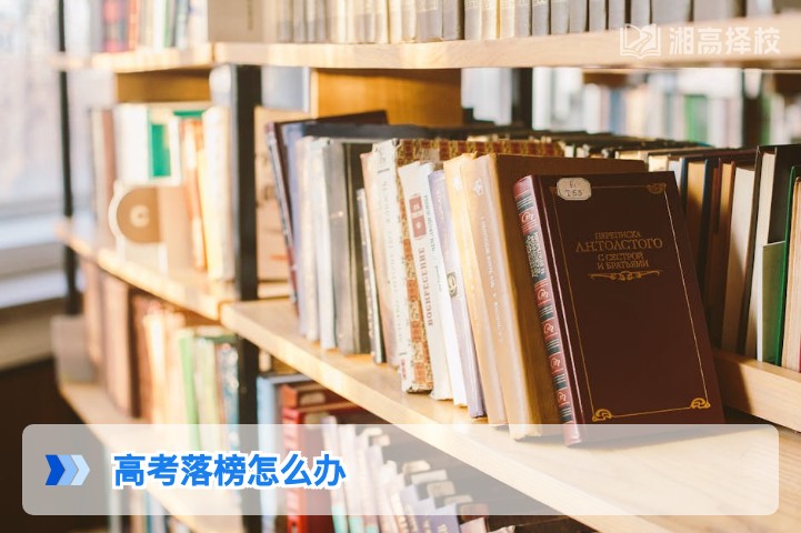 2026年湖南高考落榜后科学规划指南:从政策合规到择校提分全流程