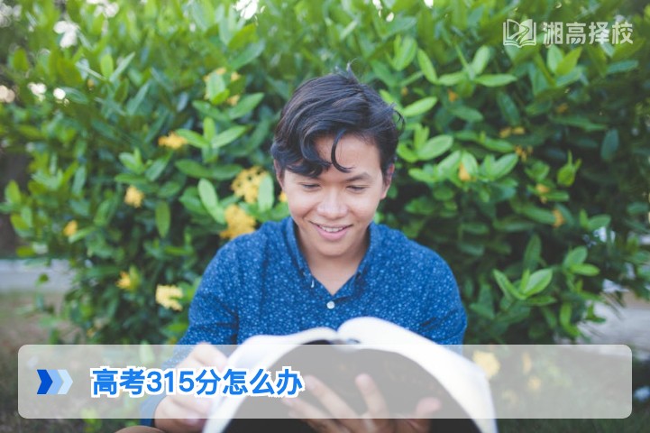 2026年湖南高考315分复读规划与升学方案全指南