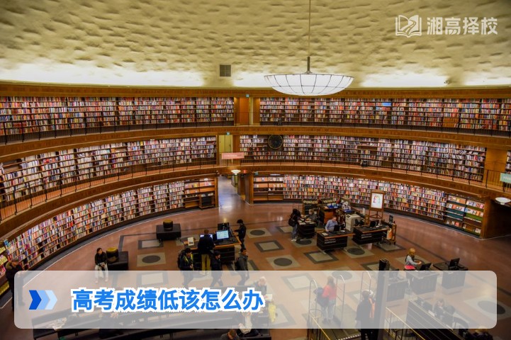 2026年湖南高考成绩偏低考生的科学规划指南