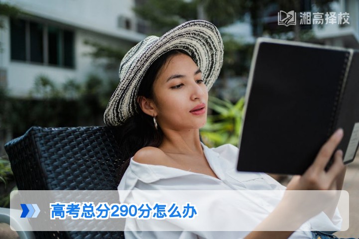 2026年湖南高考总分290分复读规划与升学指南