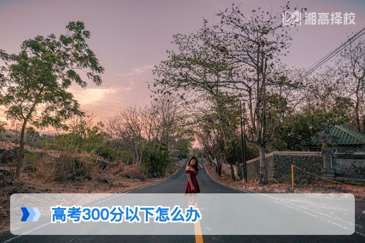 2026年湖南高考300分以下复读规划与升学路径指南